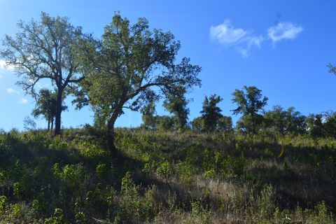 Terra a Almodovar, Beja, Almodovar - € 625.000 | Ref: SÒL_49112 - foto 28