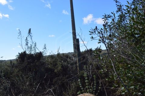 Terra a Almodovar, Beja, Almodovar - € 625.000 | Ref: SÒL_49112 - foto 33