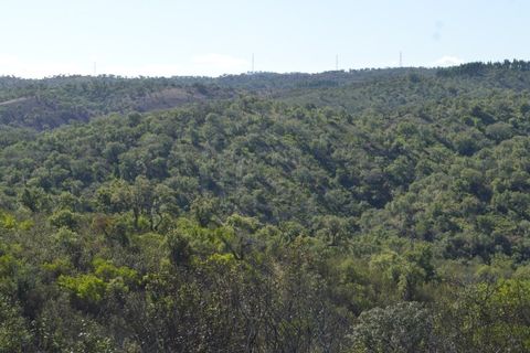 Terra a Almodovar, Beja, Almodovar - € 625.000 | Ref: SÒL_49112 - foto 35