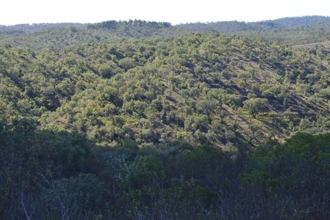 Terra a Almodovar, Beja, Almodovar - € 625.000 | Ref: SÒL_49112 - foto 36