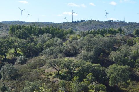 Terra a Almodovar, Beja, Almodovar - € 625.000 | Ref: SÒL_49112 - foto 39