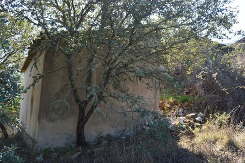 Terra a Almodovar, Beja, Almodovar - € 625.000 | Ref: SÒL_49112 - foto 47