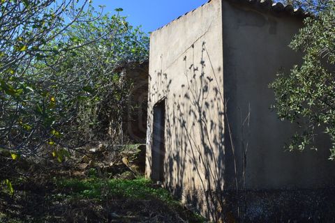 Terra a Almodovar, Beja, Almodovar - € 625.000 | Ref: SÒL_49112 - foto 48