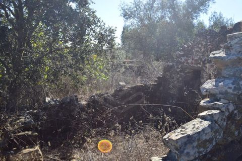 Terra a Almodovar, Beja, Almodovar - € 625.000 | Ref: SÒL_49112 - foto 50