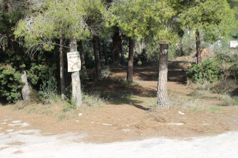 Helårsgrund i Altea, Alicante, Altea - € 200.000 | Ref: PAR1341 - foto 2
