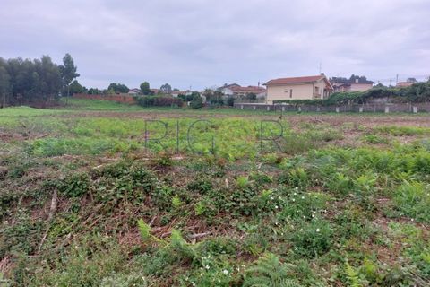 Terra a Serzedo, Porto, Serzedo - € 270.000 | Ref: AMP319 - foto 2