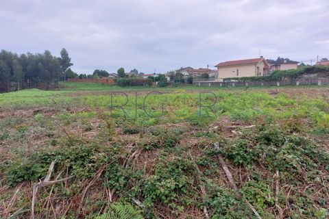 Terra a Serzedo, Porto, Serzedo - € 270.000 | Ref: AMP319 - foto 3