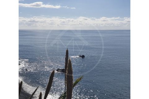 Helårsgrund i Arco da Calheta, Madeira, Arco da Calheta - € 300.000 | Ref: TJ400 - foto 2