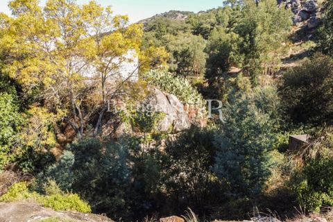 Villa a Castelo de Vide, Portalegre, Castelo de Vide - € 450.000 | Ref: 1041-1 - foto 20