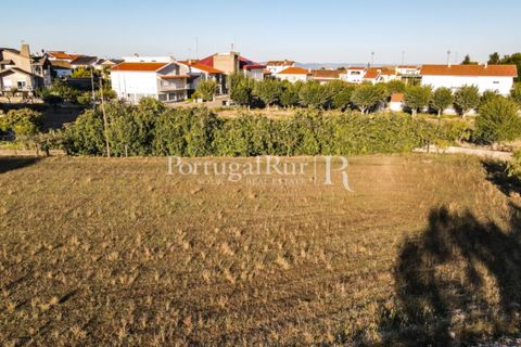Landejendom i Meda, Guarda, Meda - € 160.000 | Ref: 186-1 - foto 14