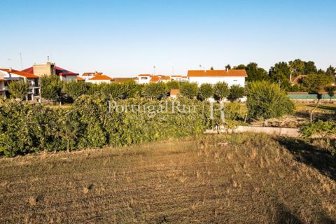 Landejendom i Meda, Guarda, Meda - € 160.000 | Ref: 186-1 - foto 17