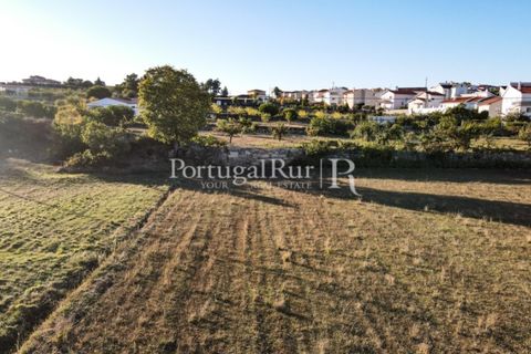 Landejendom i Meda, Guarda, Meda - € 160.000 | Ref: 186-1 - foto 18