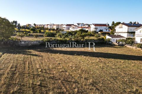 Landejendom i Meda, Guarda, Meda - € 160.000 | Ref: 186-1 - foto 19