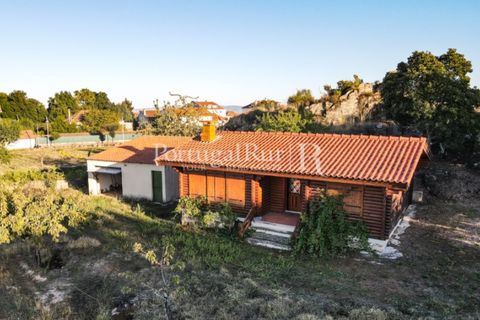 Landejendom i Meda, Guarda, Meda - € 160.000 | Ref: 186-1 - foto 12