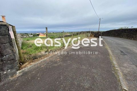 Terra a Agualva, Terceira, Agualva - € 32.000 | Ref: AZ85650MS - foto 15