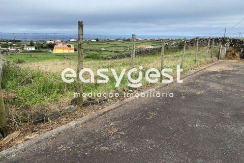 Terra a Agualva, Terceira, Agualva - € 32.000 | Ref: AZ85650MS - foto 16