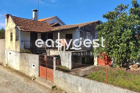 Villa a Tabua, Coimbra, Tabua - € 34.000 | Ref: RR85700 - foto 8