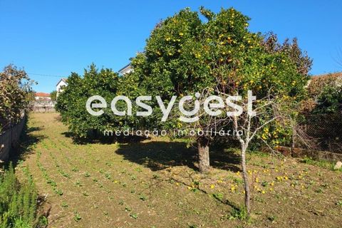 Villa a Tabua, Coimbra, Tabua - € 34.000 | Ref: RR85700 - foto 10