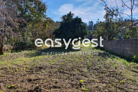 Villa a Tabua, Coimbra, Tabua - € 34.000 | Ref: RR85700 - foto 13