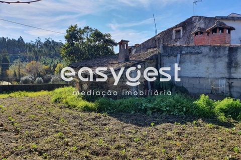 Villa a Tabua, Coimbra, Tabua - € 34.000 | Ref: RR85700 - foto 16