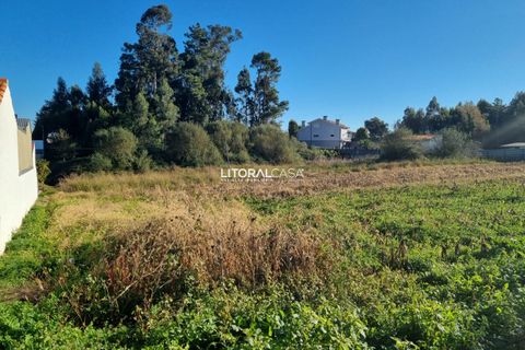 Helårsgrund i Aveiro, Aveiro, Aveiro - € 1.050.000 | Ref: VEN-3317 - foto 4