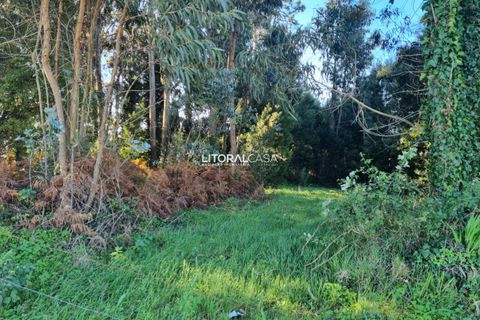 Helårsgrund i Aveiro, Aveiro, Aveiro - € 1.050.000 | Ref: VEN-3317 - foto 13