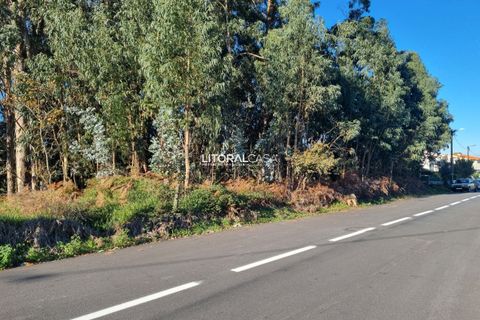 Helårsgrund i Aveiro, Aveiro, Aveiro - € 1.050.000 | Ref: VEN-3317 - foto 16
