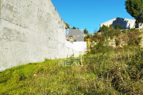 Helårsgrund i Paredes, Porto, Paredes - € 58.000 | Ref: CR2981 - foto 5