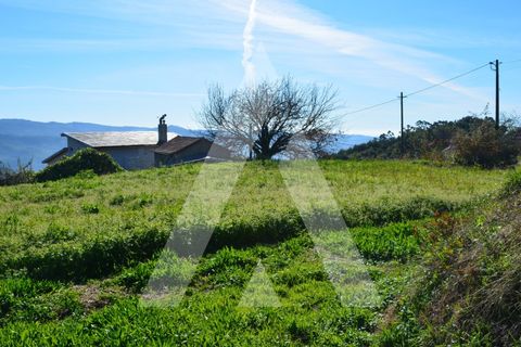 Helårsgrund i Sever do Vouga, Aveiro, Sever do Vouga - € 55.000 | Ref: 1060622/21 AL - foto 10