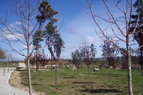 Farm i Viseu, Viseu, Viseu - € 630.000 | Ref: 1909/V - foto 4