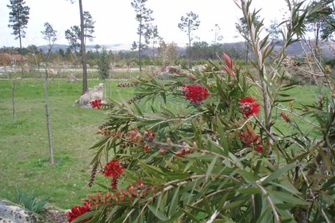 Farm i Viseu, Viseu, Viseu - € 630.000 | Ref: 1909/V - foto 5