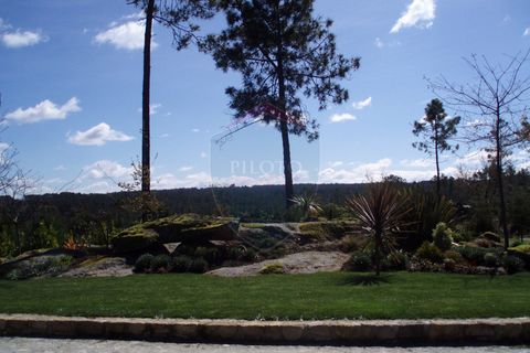 Farm i Viseu, Viseu, Viseu - € 630.000 | Ref: 1909/V - foto 7