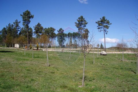 Farm i Viseu, Viseu, Viseu - € 630.000 | Ref: 1909/V - foto 8