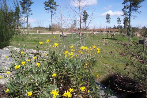 Farm i Viseu, Viseu, Viseu - € 630.000 | Ref: 1909/V - foto 11