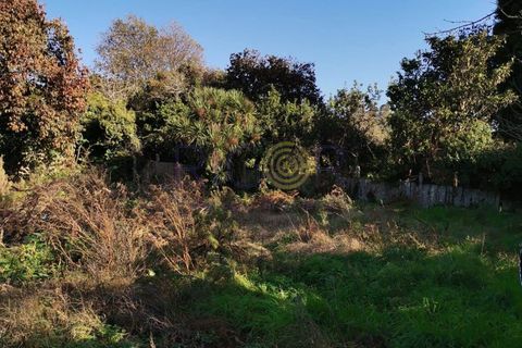 Tomt i Grijo, Porto, Grijo - € 85 000 | Ref: AMP324 - foto 3