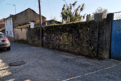 Tomt i Grijo, Porto, Grijo - € 85 000 | Ref: AMP324 - foto 6