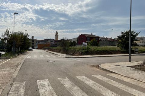 Terra a Alfarp, Valencia, Alfarp - € 666.570 | Ref: IV-0133 - foto 2