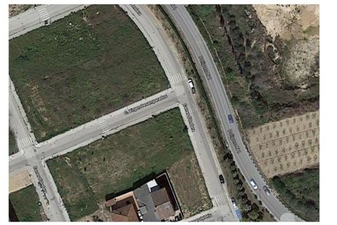Terra a Alfarp, Valencia, Alfarp - € 666.570 | Ref: IV-0133 - foto 6