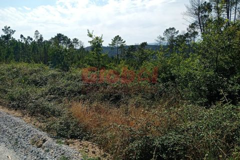 Helårsgrund i Viseu, Viseu, Viseu - € 40.000 | Ref: 189212152 - foto 2
