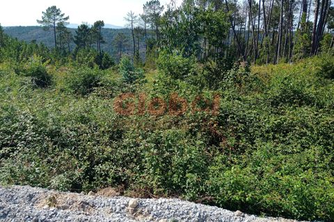 Helårsgrund i Viseu, Viseu, Viseu - € 40.000 | Ref: 189212152 - foto 3