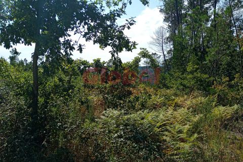 Helårsgrund i Viseu, Viseu, Viseu - € 40.000 | Ref: 189212152 - foto 4