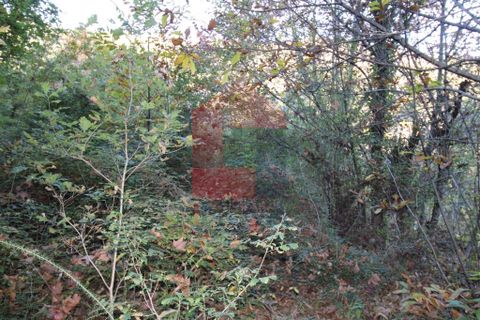 Helårsgrund i Vila Verde, Braga, Vila Verde - € 15.500 | Ref: 07478 - foto 5