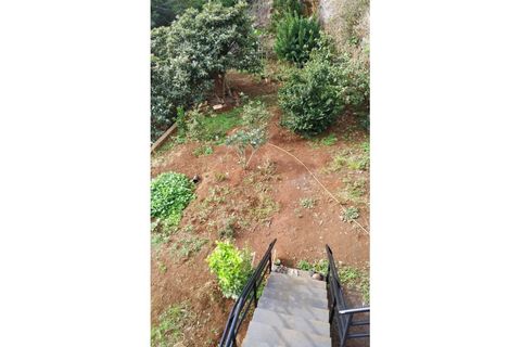 Villa i Machico, Madeira, Machico - € 680.000 | Ref: TJ406 - foto 16