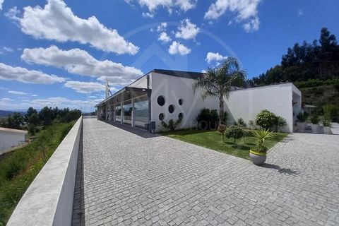 Farm i Paredes, Porto, Paredes - € 1.850.000 | Ref: Q521 - foto 2