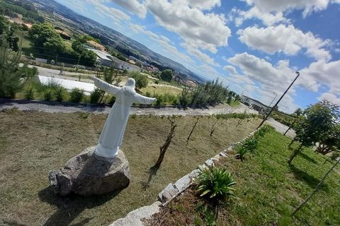 Farm i Paredes, Porto, Paredes - € 1.850.000 | Ref: Q521 - foto 19