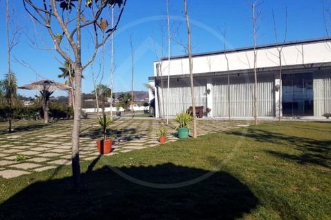 Farm i Paredes, Porto, Paredes - € 1.850.000 | Ref: Q521 - foto 21