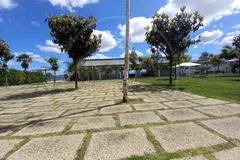 Farm i Paredes, Porto, Paredes - € 1.850.000 | Ref: Q521 - foto 22