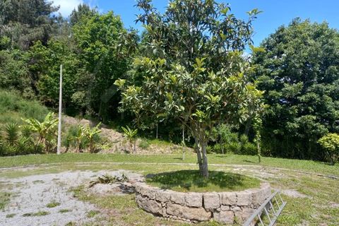 Farm i Paredes, Porto, Paredes - € 1.850.000 | Ref: Q521 - foto 24