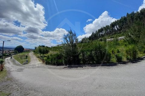 Farm i Paredes, Porto, Paredes - € 1.850.000 | Ref: Q521 - foto 25
