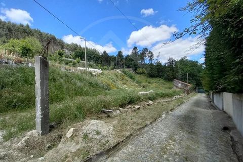 Farm i Paredes, Porto, Paredes - € 1.850.000 | Ref: Q521 - foto 27